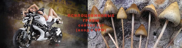 бутик Белокуриха